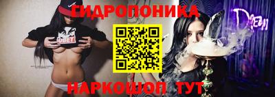 стафф Партизанск