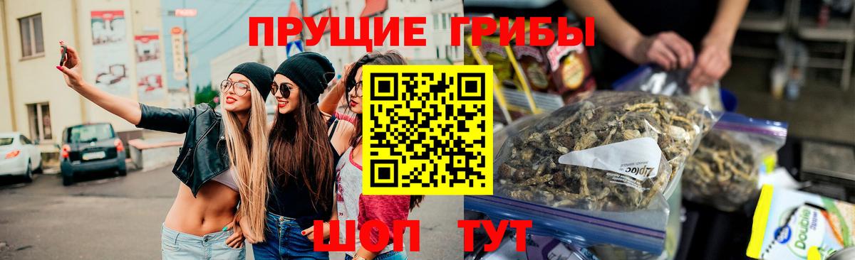 Псилоцибиновые грибы Cubensis  Вход с VPN  Краснокамск 